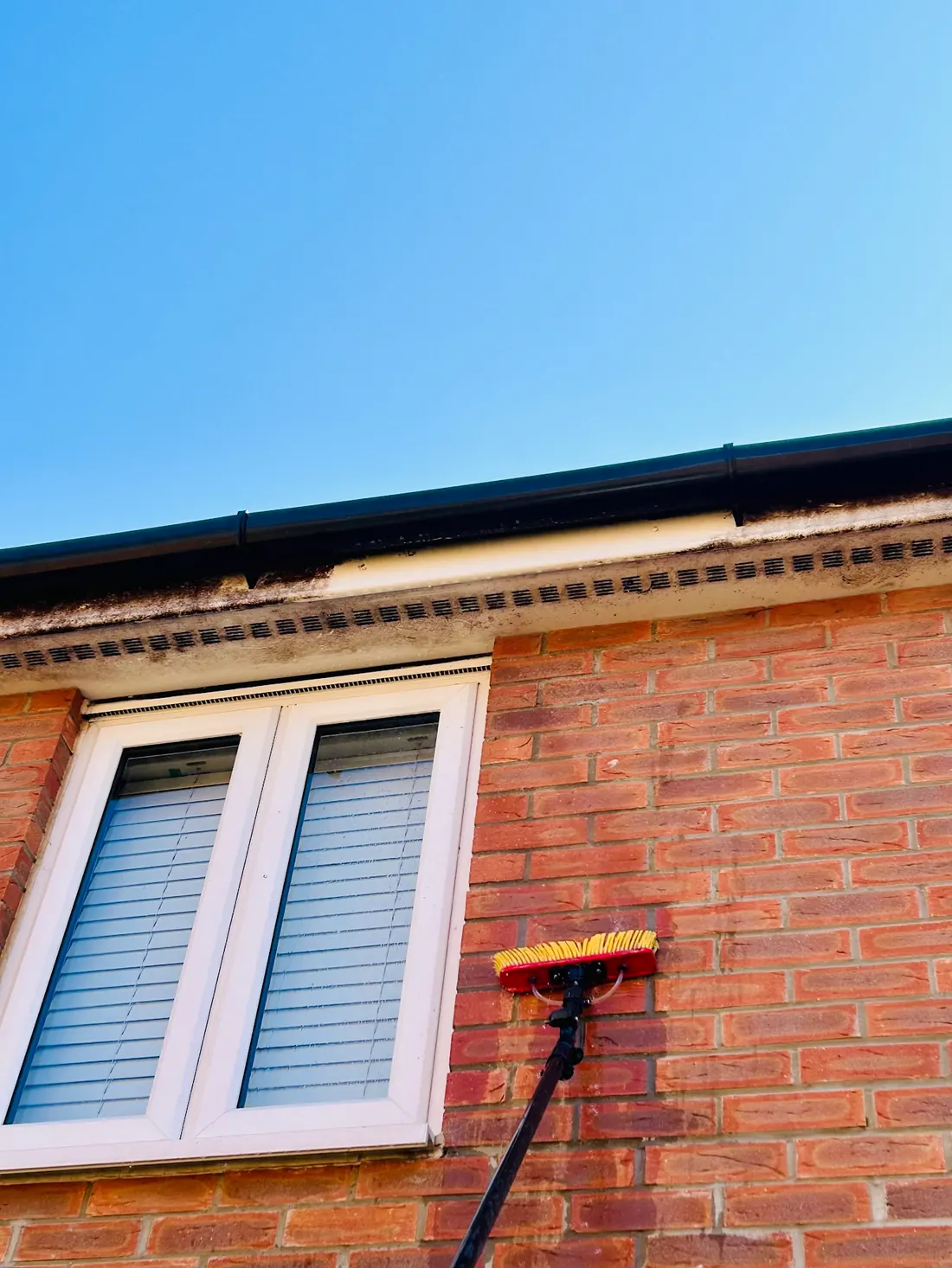 Fascia and soffit cleaning with a water fed pole in Stanway